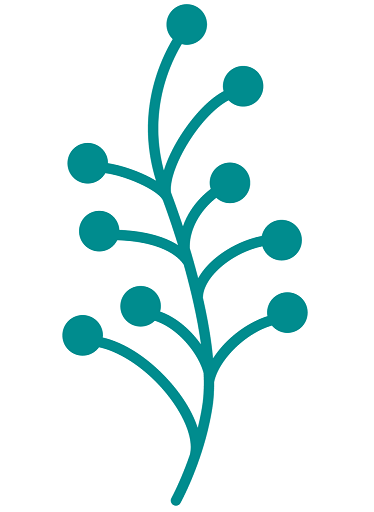 Zurück zur Startseite