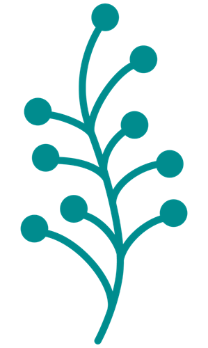 Zurück zur Startseite